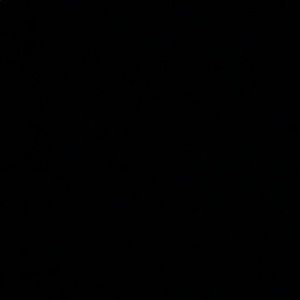 Meet your Posher, Ariana